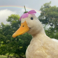 Аватарка eukarasova