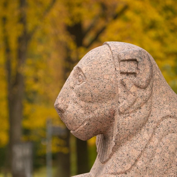 Источник: музей-заповедник «Петергоф»