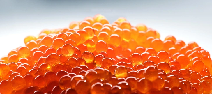 Источник: Subbotina Anna/Shutterstock/Fotodom.ru