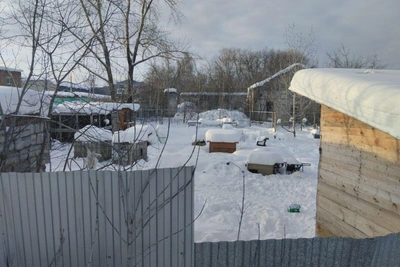 Полиция возбудила дело по «Антидогхантеру» в Перми