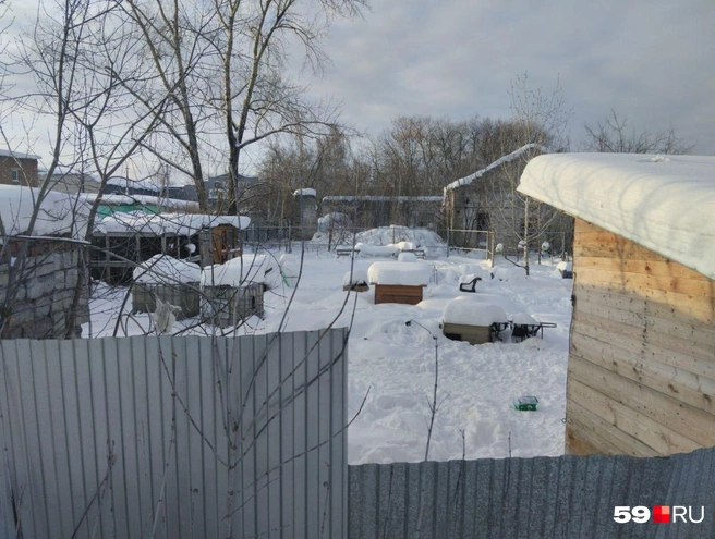 «Антидогхантер» огорожен забором, за который сегодня с трудом попали предстаивтели прокуратуры и ветинспекции | Источник: Ольга Якунчева / 59.RU
