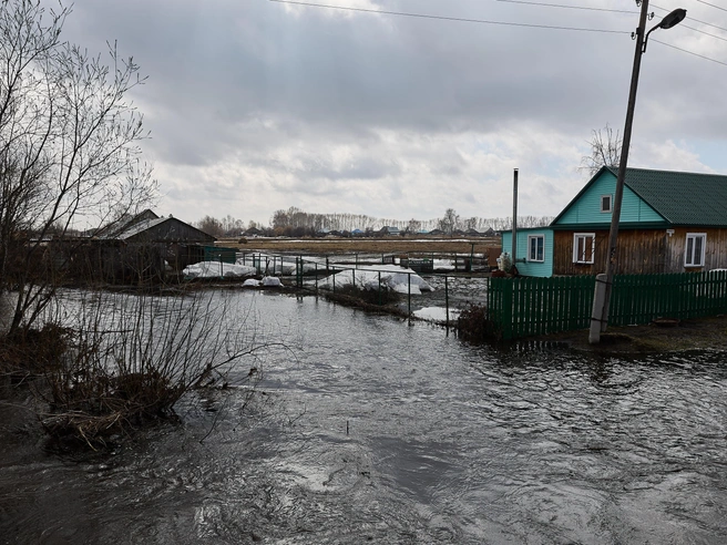 В Краснозерском и Чулымском районах подтоплены четыре жилых дома и шесть приусадебных участков. | Источник: Александр Ощепков / NGS.RU