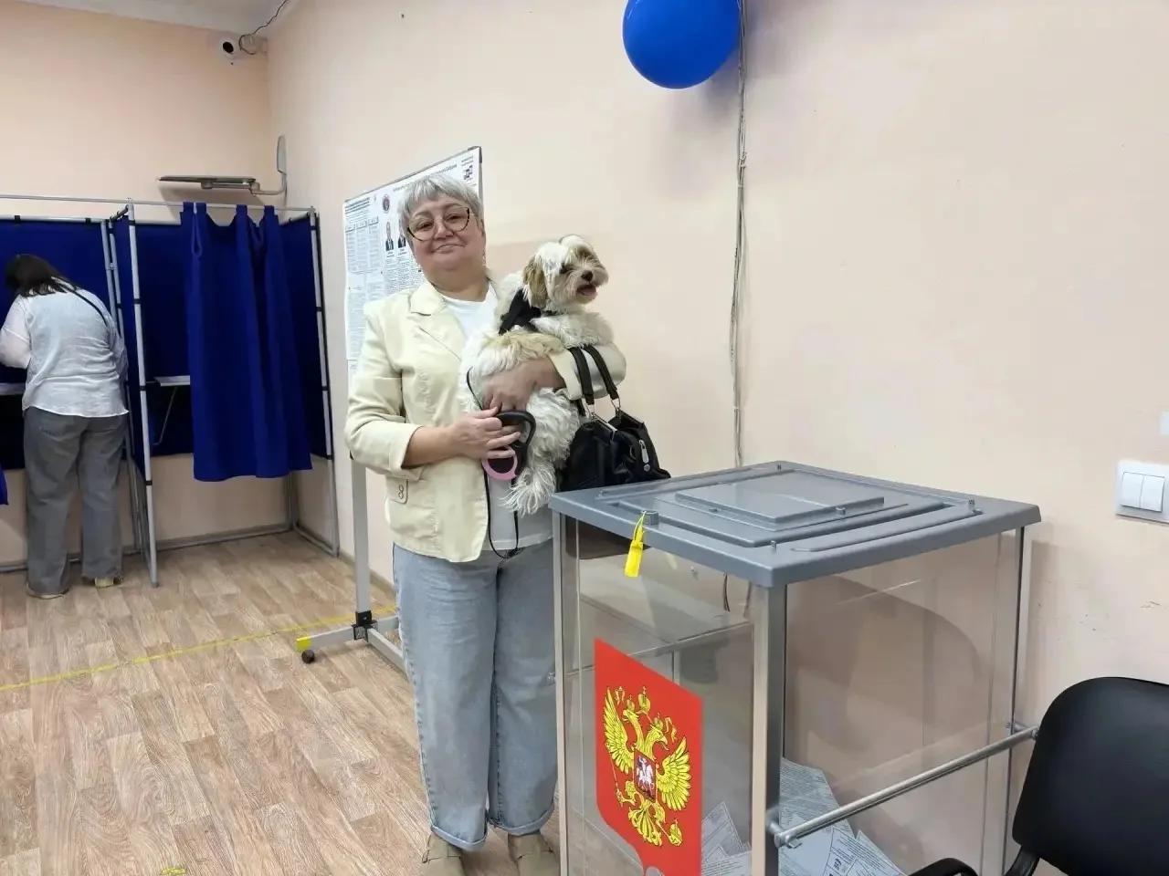 Собак, кошек и коней ведут на выборы депутатов Госдумы в Волгоградской области