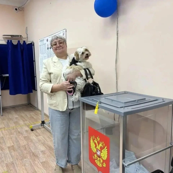 Источник: Общественная палата Волгоградской области