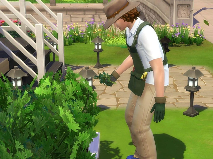 Источник: The Sims 4