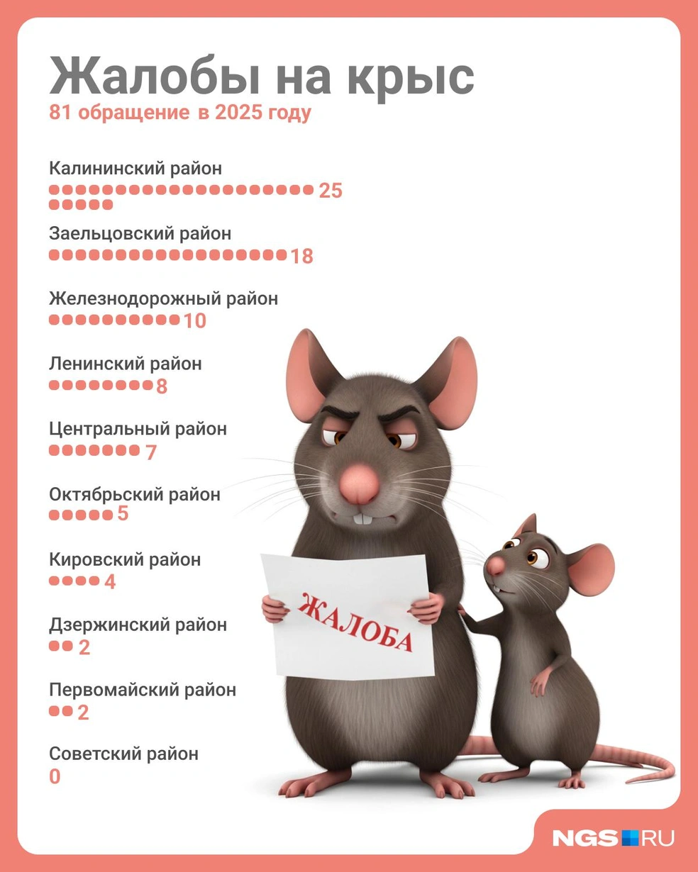 Источник: Юрий Орлов / Городские медиа