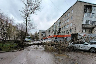 Деревья падают на дороги в Канищеве и Приокском