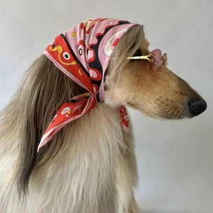 Насколько собаки похожи на своих хозяев? Питомцы Карпентер и Розэ на обложке Dogue