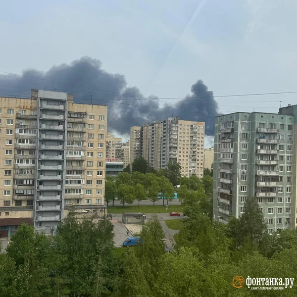 Источник: читатель «Фонтанки»