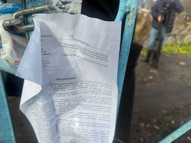 На пустеющих участках кое-где остались бумажные уведомления — о судьбе огородов и необходимости их покинуть | Источник: «Фонтанка.ру»