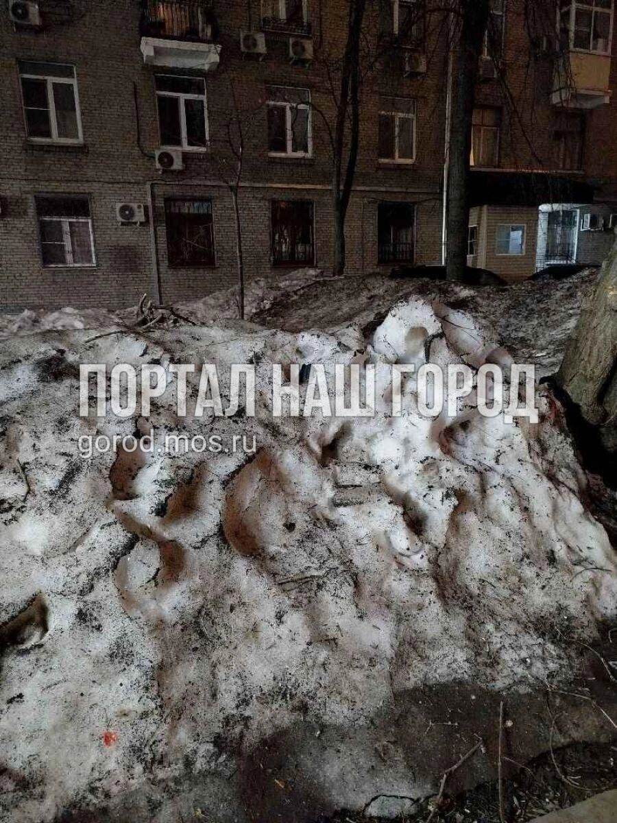 В Хамовниках до сих пор снег | Источник: gorod.mos.ru