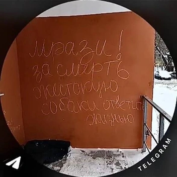 Творчество Елены видят и жители других подъездов | Источник: личный архив жительницы дома