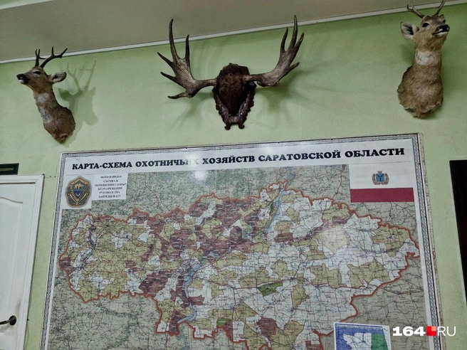 В тех местах, которые отмечены фисташковым цветом, можно охотиться, если есть разрешение | Источник: Виктория Федорова / 164.RU