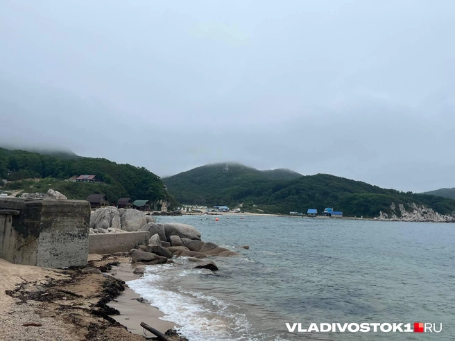 Источник: Алиса Князева / VLADIVOSTOK1.RU