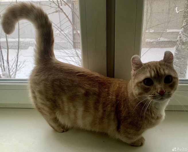 Малышу сейчас около 9-ти месяцев