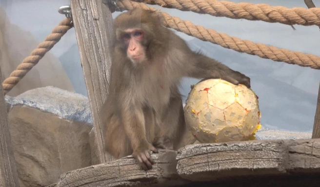 Ей шесть лет | Источник: Сергей Ильтяков / vk.com