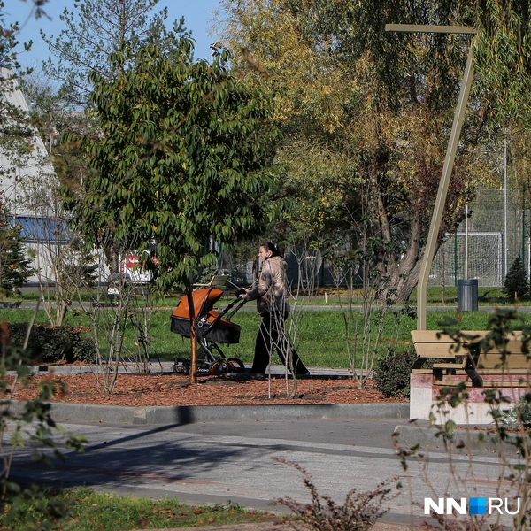 В общем и целом парк выглядит хорошо | Источник: Наталья Бурухина / NN.RU