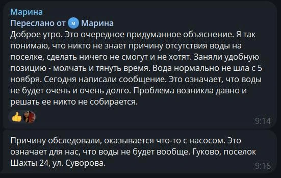 Источник: Антонина Пшеничная / Telegram.org