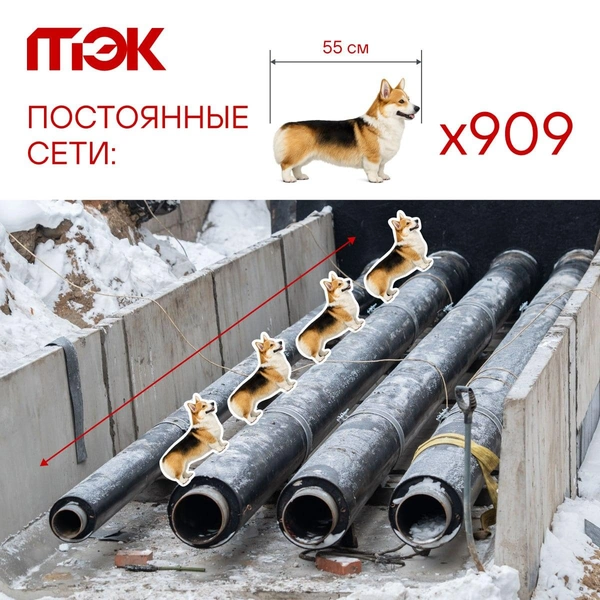 Источник: АО «ТЭК СПб»