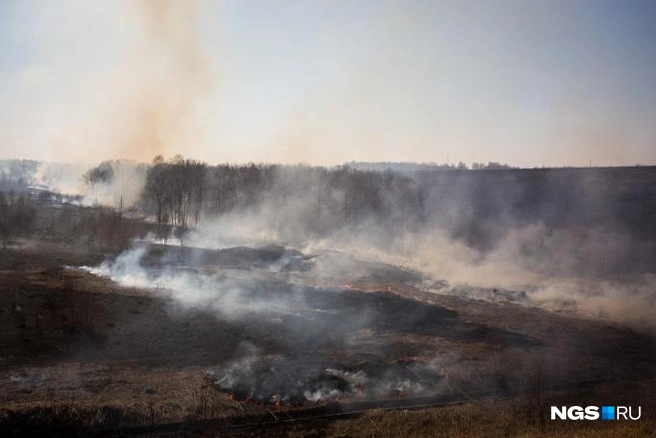 В этом году ландшафтные пожары затронули несколько районов Новосибирской области | Источник: Александр Ощепков