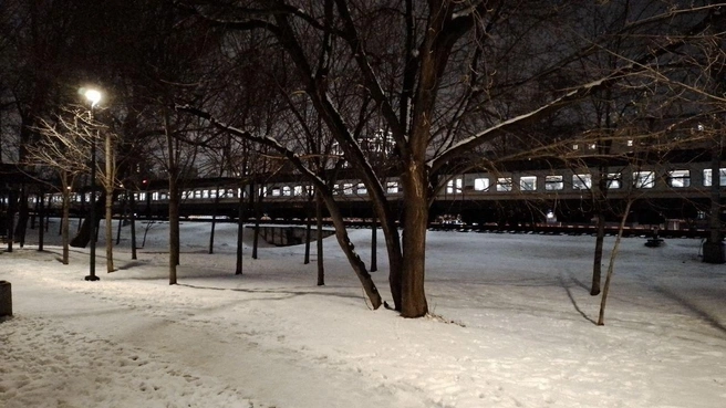 Поезда встали друг за другом из-за сбоя на диаметре | Источник: Алексей, Подслушано электрички Москвы / T.me