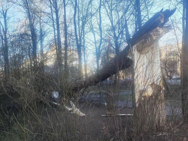 Источник: «Транспортный Коллапс, Красное Село».