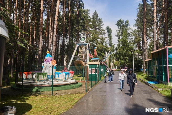 Заметьте, какие ровные дорожки | Источник: Александр Ощепков / NGS.RU