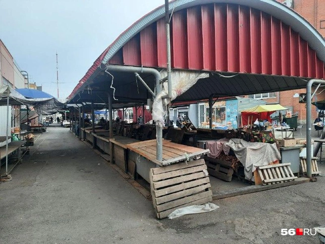 Источник: Анастасия Баринова / 56.RU