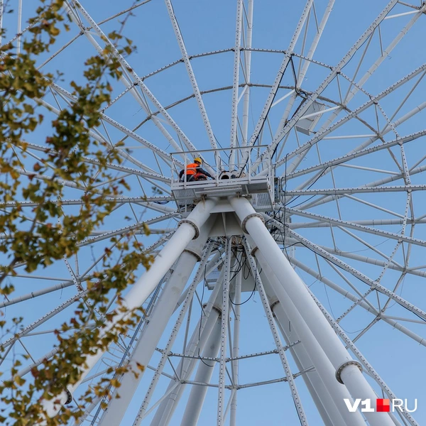 Источник: Алексей Волхонский / V1.RU