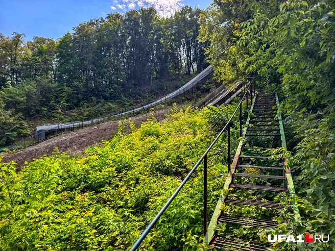 Лестницы все уже заросли | Источник: Булат Салихов / UFA1.RU