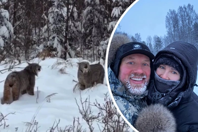 Елена Летучая устроила экстремальный отдых в лесу