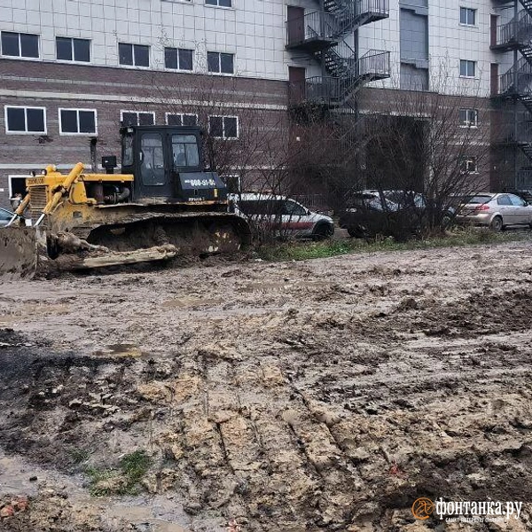 Источник: читатель «Фонтанки»