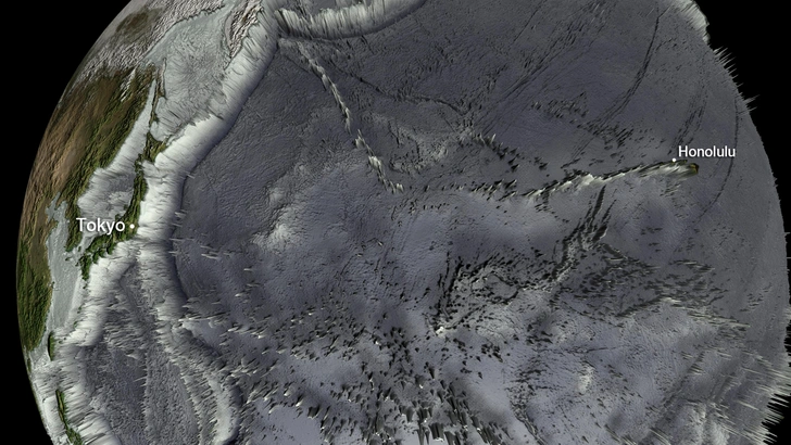 Топография морского дна северной части Тихого океана | Источник: Science Photo Library / Legion Media