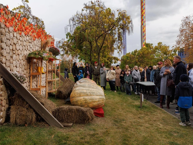 Тыквы доставили в парк 4 октября. | Источник: Алексей Волхонский / V1.RU