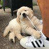 userpic__tatianavolkova095