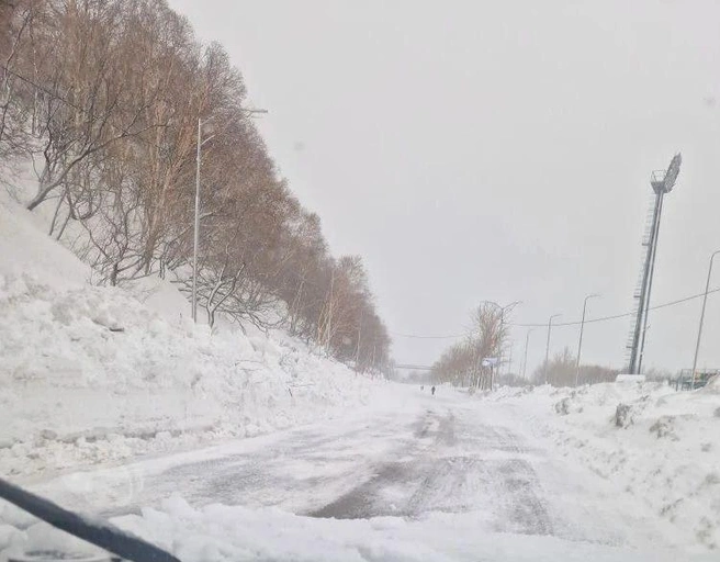 Источник: Канал Администрации Петропавловск-Камчатского городского округа
