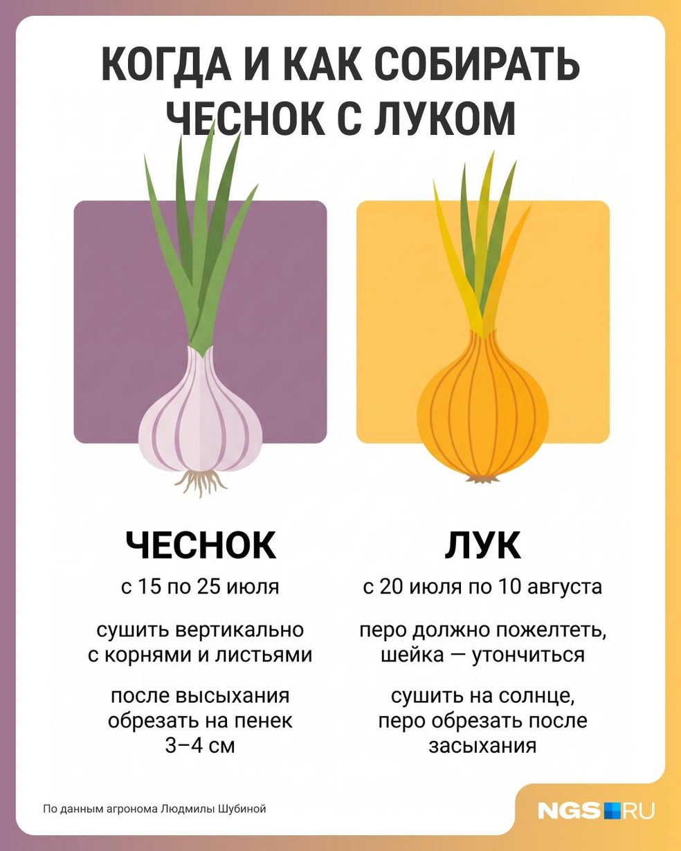 Источник: Филипп Сапегин / Городские медиа