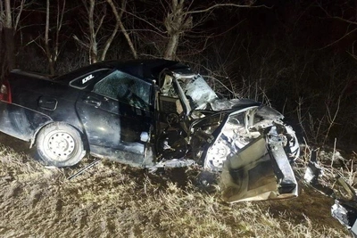 ДТП в Воронежской области: Приора врезалась в дерево