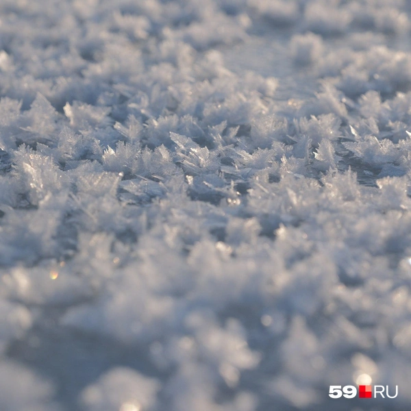 С такого ракурса заметны кристаллы | Источник: Тимофей Калмаков / 59.RU