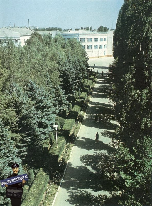 Аллея, которая ведет к администрации завода, 1983 год | Источник: myekaterinodar.ru