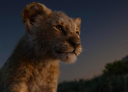 Смотрим трейлер фильма «Муфаса» — нового «Короля Льва»
