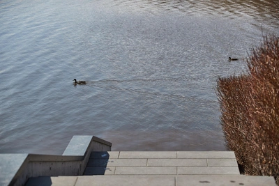 Какой будет апрель в Новосибирске