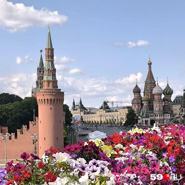 Пермячка поделилась фотографиями цветущей Москвы | Источник: Читательница 59.RU Елена 