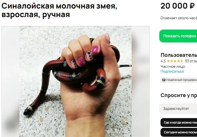 Источник: сайт объявлений