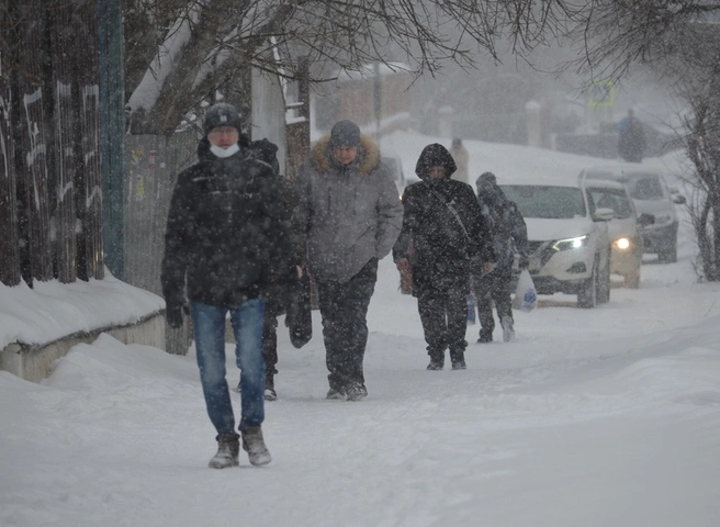 В ночь на среду в Рязанской области похолодает до -17 °С | ya62.ru