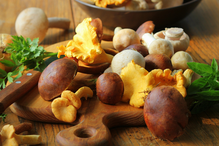 Названы 5 самых полезных видов грибов