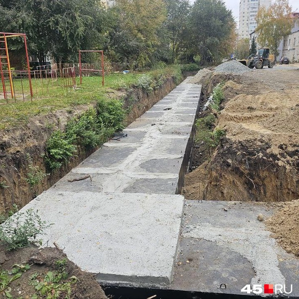 Источник: Дарья Никитченко