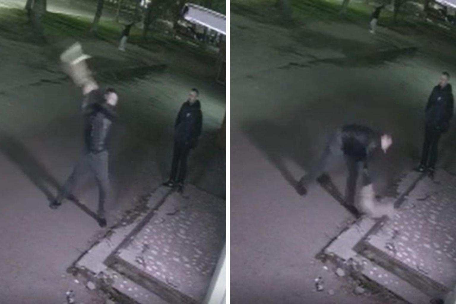 «Он ушел»: что сейчас с ярославским живодером, убившим кошку своей соседки