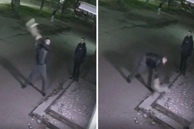 Дело о жестоком убийстве кошки заглохло