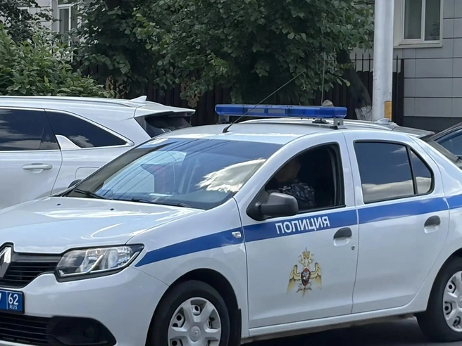 Полиция задержала подозреваемую в краже | Источник: Дарья Ходосевич / YA62.RU